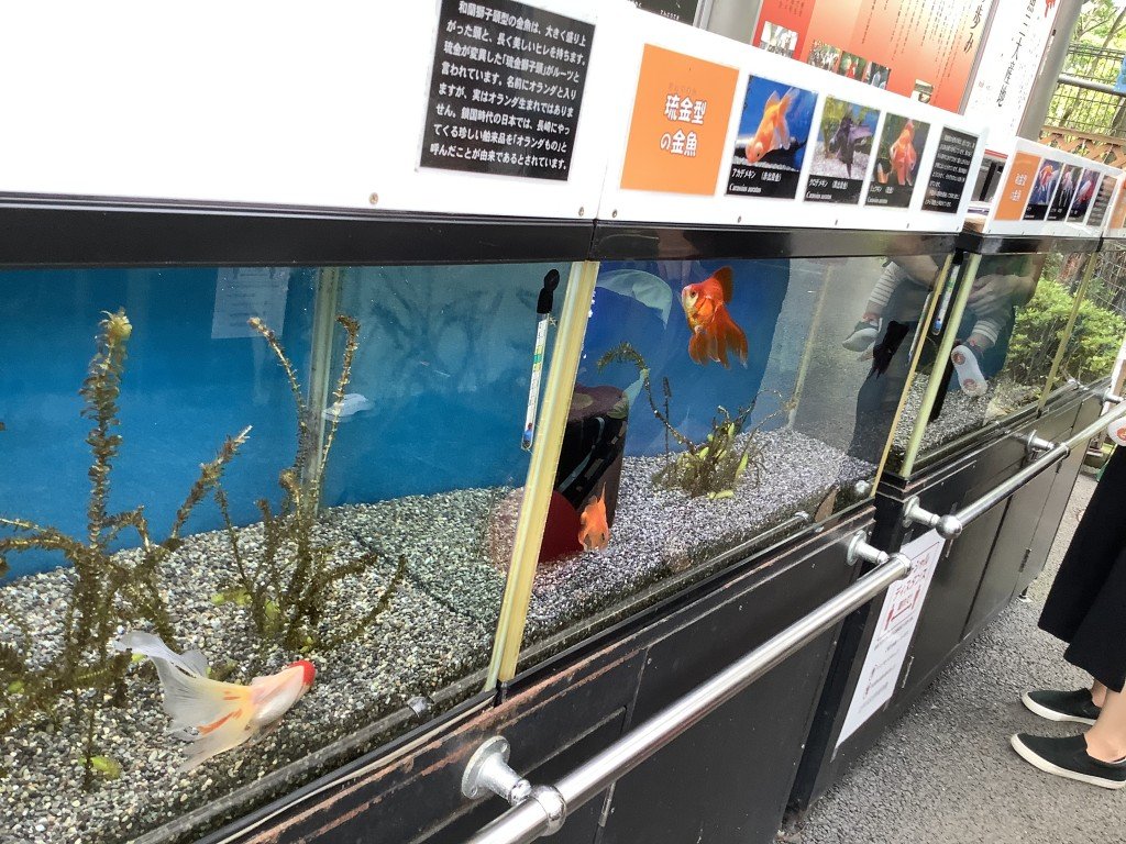 A2CE7AF1-201D-47FA-AA28-3757154110DA