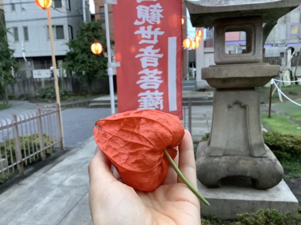 E0F9DF4D-9857-41D4-9675-8436D7385DC5