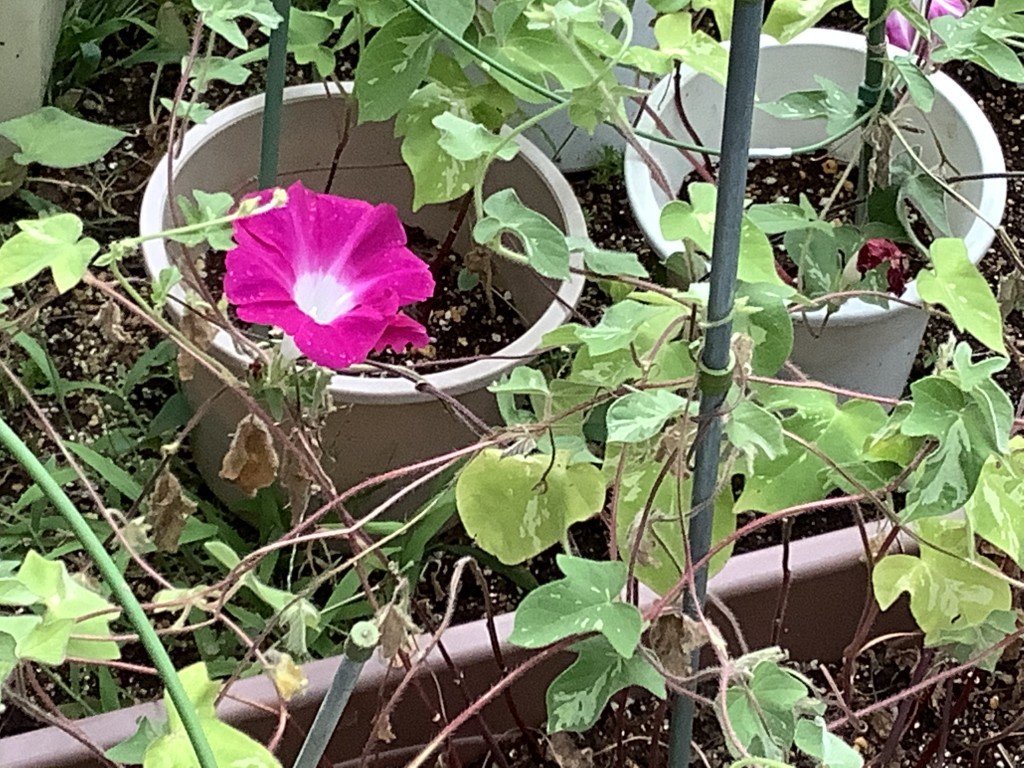 3B0F57D3-14BC-478C-B62C-3AB3854C25EC