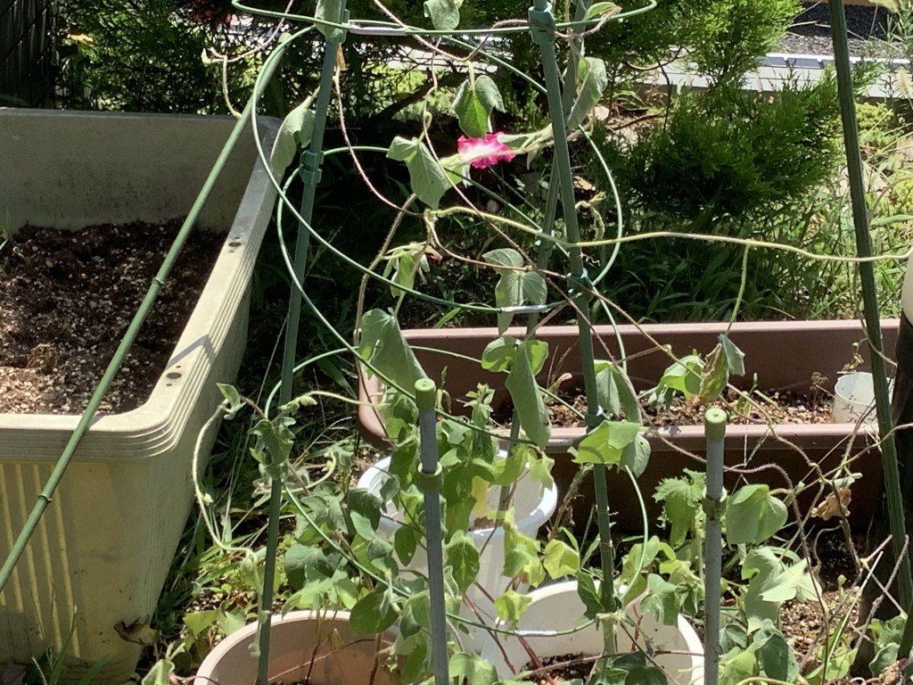 4C33A409-6B50-42E9-82DC-0B64BFE82F33