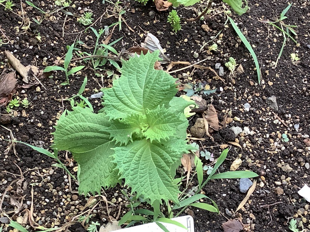 6B3D1340-52DB-41DE-A3DE-965163DB1EC7