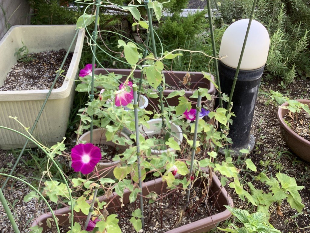 C4BED190-F13D-42F0-84CD-88F3D7FC8E26