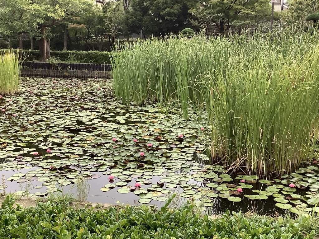 ED643FD4-DF5A-4C80-969C-D9224911F864