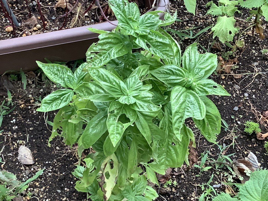 F6897B7A-DE94-4856-8B12-D1207CB41D78