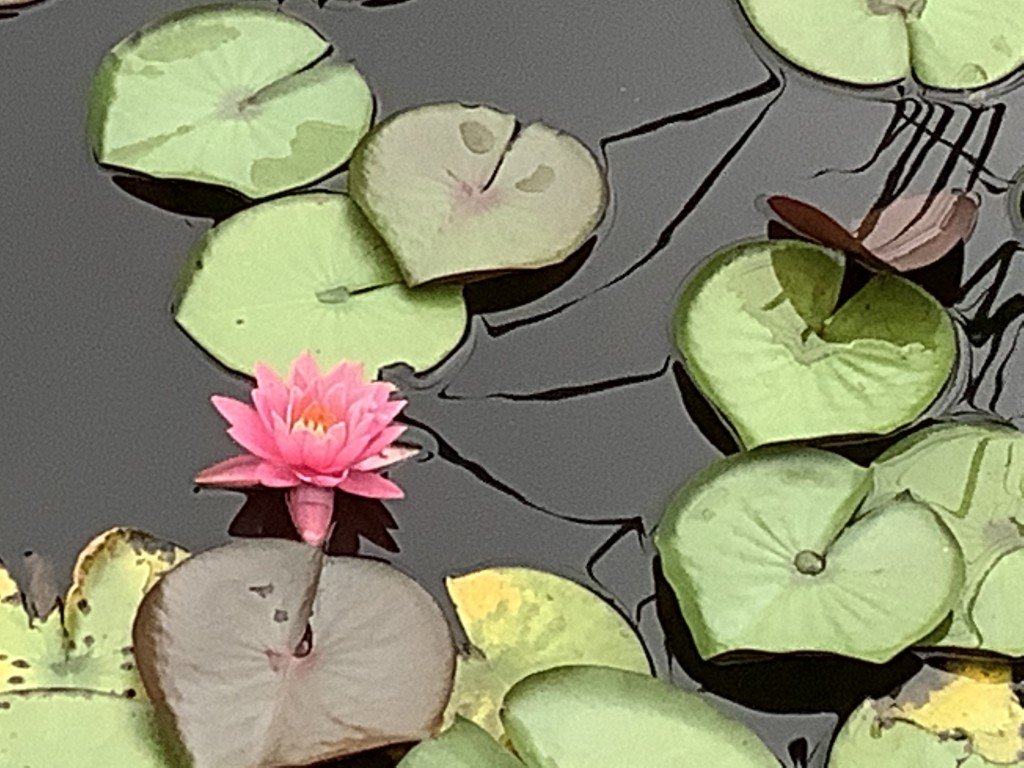 FE9B8CA2-294F-4B38-863C-A06F64715F4A