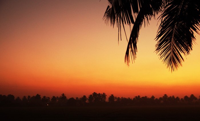 バックウォーターの朝焼け3700