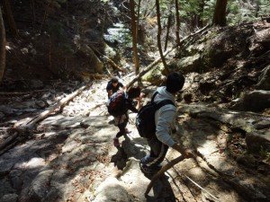 382266_166744783420624_1465627828_n