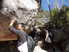 390231_166746366753799_1997721511_n