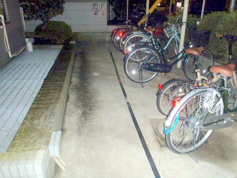 OLYMPUS DIGITAL CAMERA