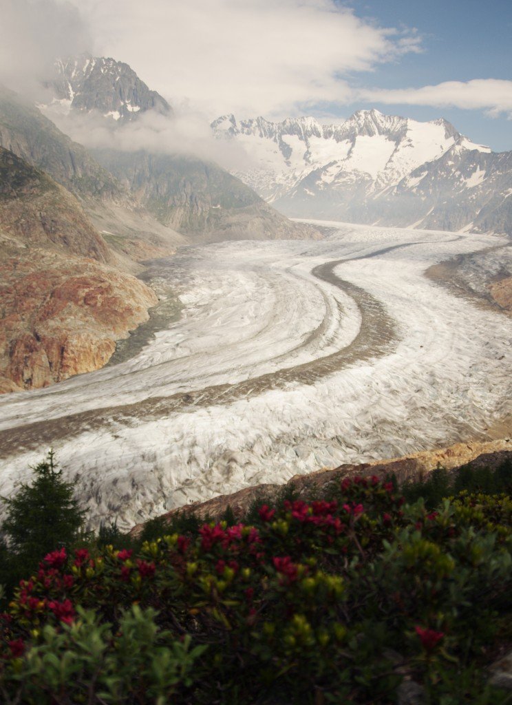 アレッチ氷河６