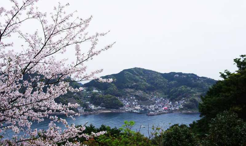 松本峠の東屋から800