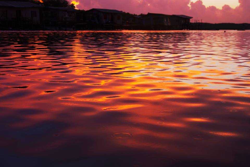 ＠ボルネオ01