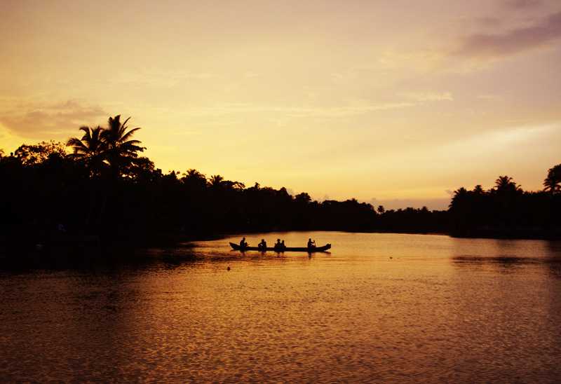 バックウォーター02800