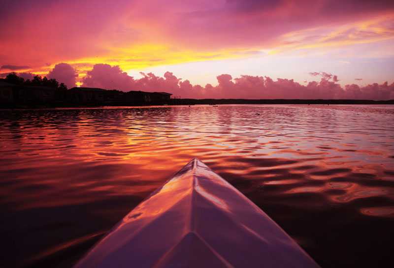 ボルネオ01800