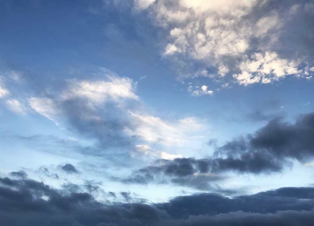 富士山と白鳥の朝焼け10
