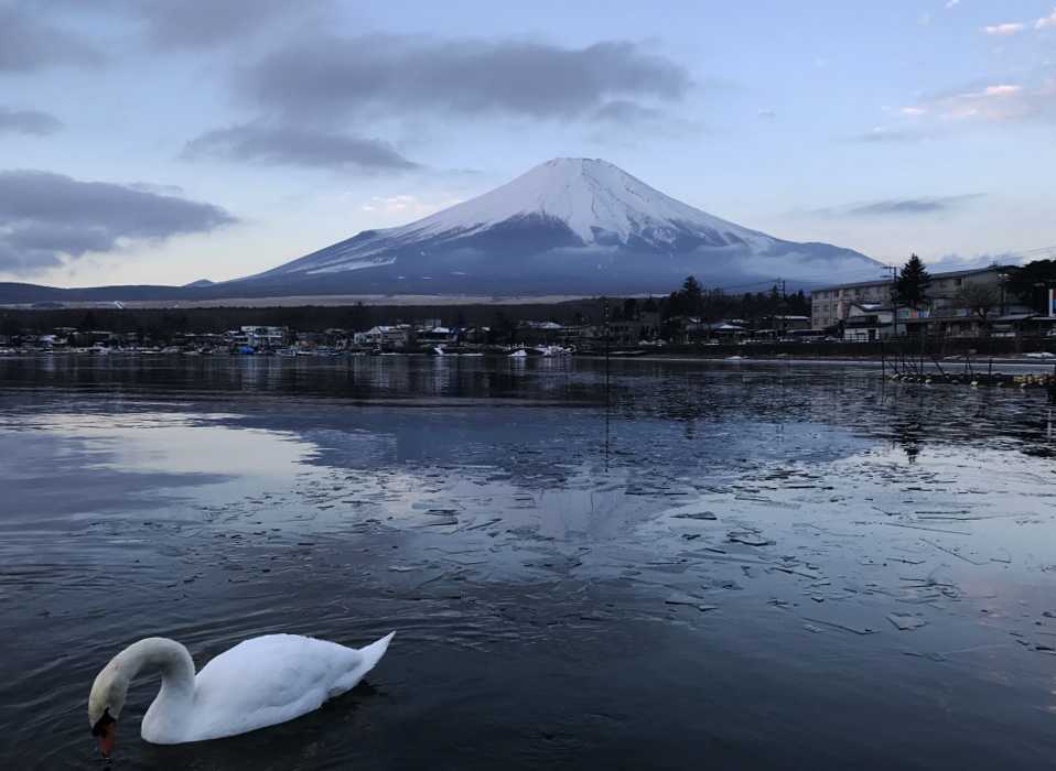 富士山と白鳥の朝焼け7