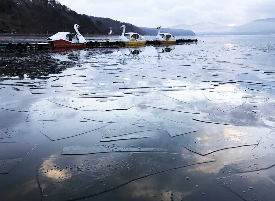 富士山と白鳥の朝焼け8