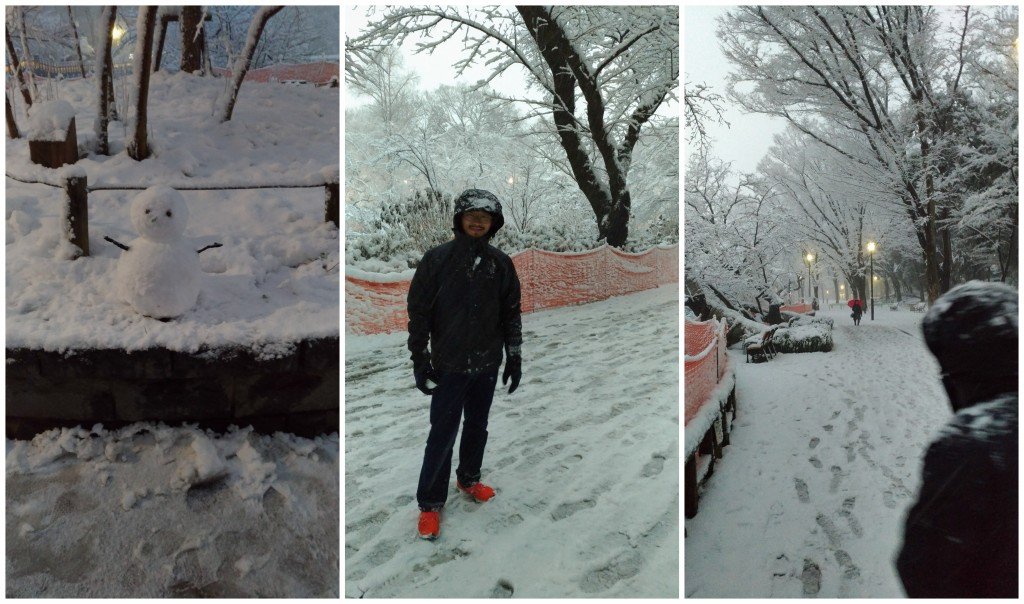 ダウンロード (19)