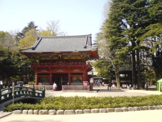Nezu jinja 1