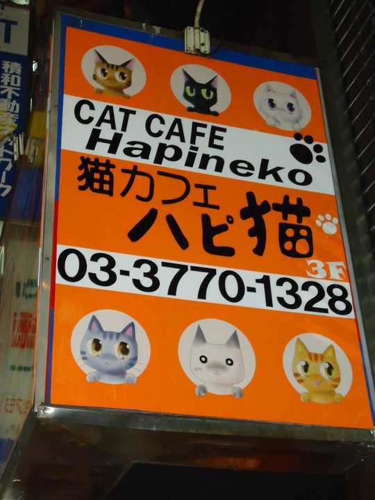 154152_176900332326394_100000192845403_652403_3836777_n