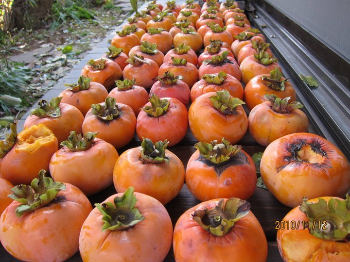 154753_1560882194521_1609312831_1280630_7713479_n