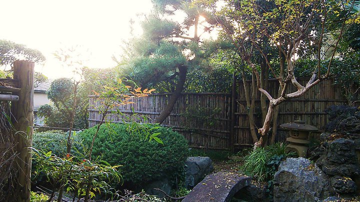 77136_447670662006_540312006_5991559_3714434_n