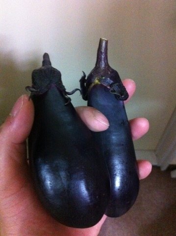 eggplant