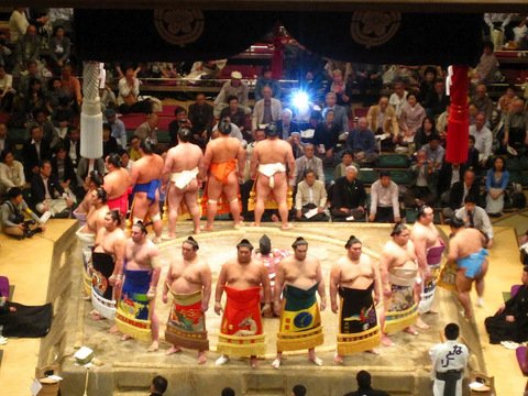 sumo3
