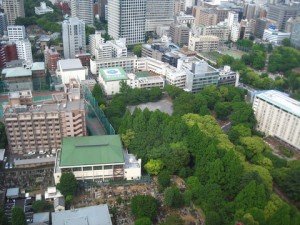 tokyotower1
