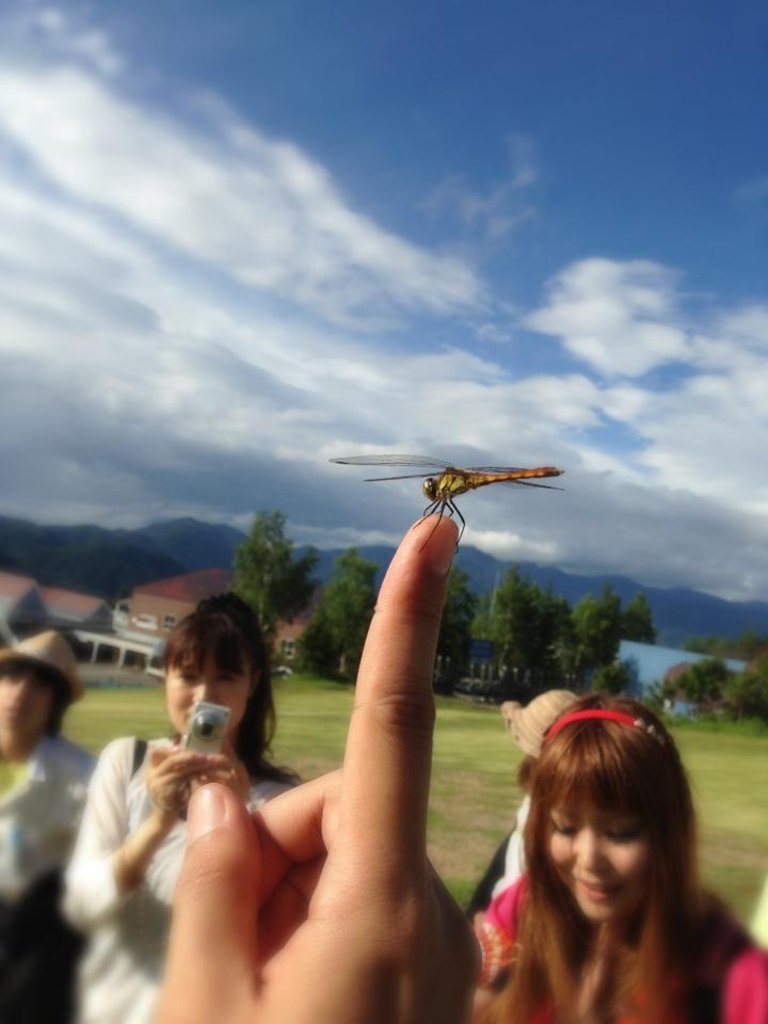 1059425_547144275349117_1530794162_n