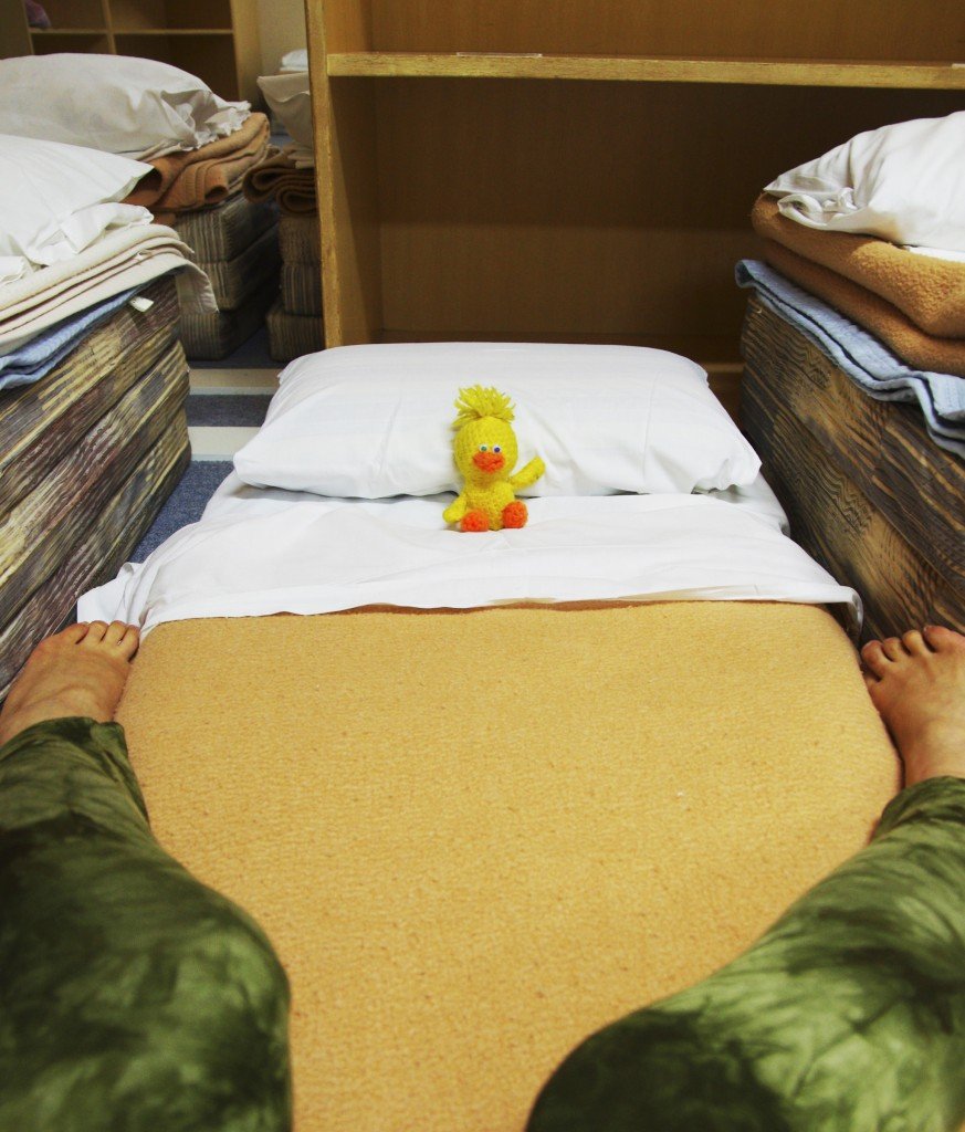 さんふわらあエコノミールーム陣地