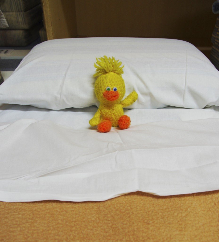 さんふわらあエコノミールーム陣地2