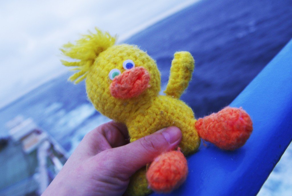 とまピヨ＠さんふらわあ