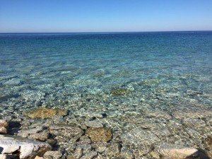 10350430_721809347914038_5469974981846254784_n