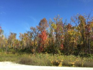 10414400_721804784581161_2101244356385139691_n