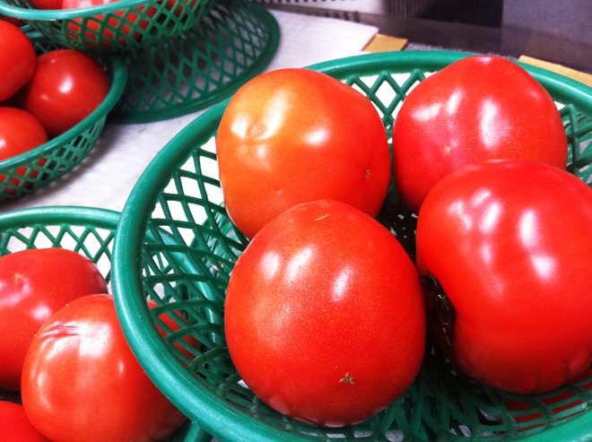 ふいにカメラを向けれて照れるトマト。ああ、トマト、かわいいよトマト…