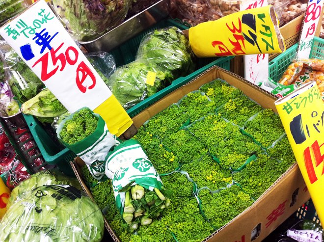 ひと足お先に春を感じちゃってもいいかしら？　の、菜の花です