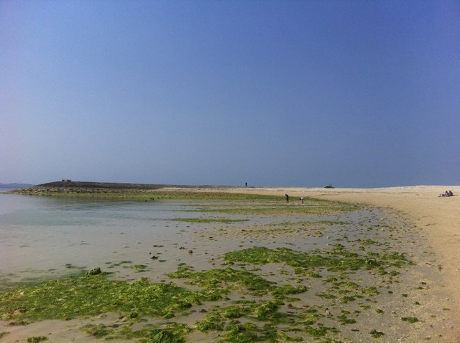 海があまりにもきれいだったから