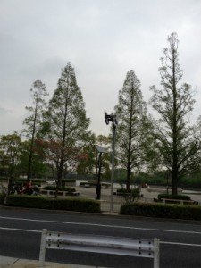 nana画像 001 nana画像 001