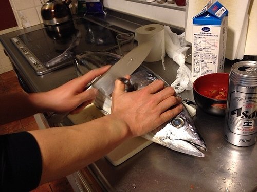 3_23_いけちゃんかつお