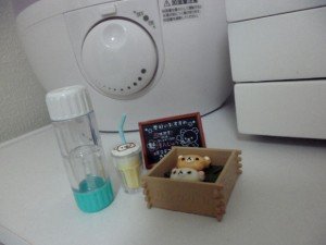 rirakkuma-put-lens case