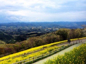 10268347_547225948729585_2127345105_n