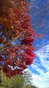 o0546096013139692555