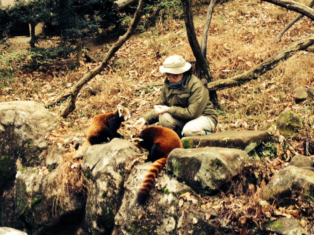 ｓｓｓｓｓdownload