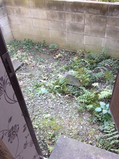 20121127_P西新井物件-42