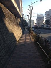 20121219_ジアス下北道順-14