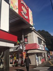 2013_Kamada-03