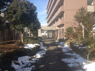 2013_Kamada-08