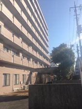 2013_Kamada-26