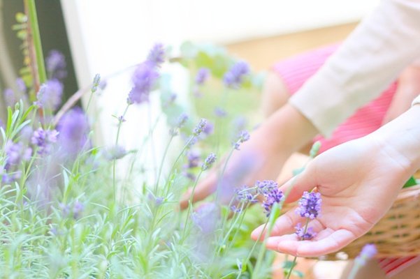 kako-GTlUNF7O6sVPisbk